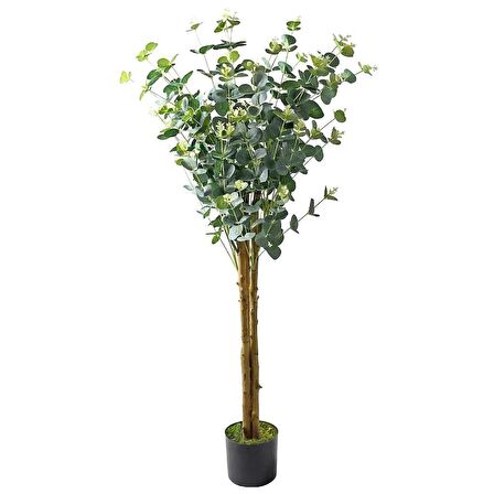 Yapay Okaliptus Ağacı 120cm Doğal Gövdeli Gerçek Görünümlü Yapay Ağaç