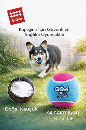 Ball Originals Sesli Köpek Oyun Topu 5 cm - 3'lü Paket - Küçük Irk & Yavru