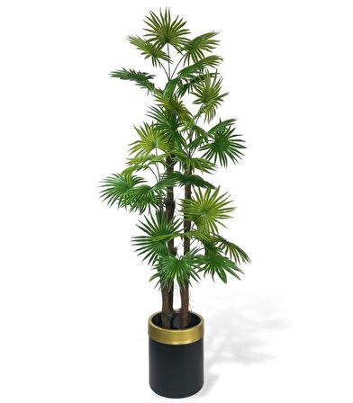 Yapay Ağaç Yelpaze Palmiye 4Katlı Fanpalm 32 Yaprak Altın Kemerli Siyah Saksıda 170*65cm