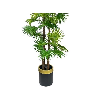 Yapay Ağaç Yelpaze Palmiye 4Katlı Fanpalm 32 Yaprak Altın Kemerli Siyah Saksıda 170*65cm