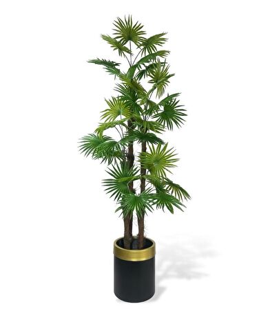 Yapay Ağaç Yelpaze Palmiye 4Katlı Fanpalm 32 Yaprak Altın Kemerli Siyah Saksıda 170*65cm
