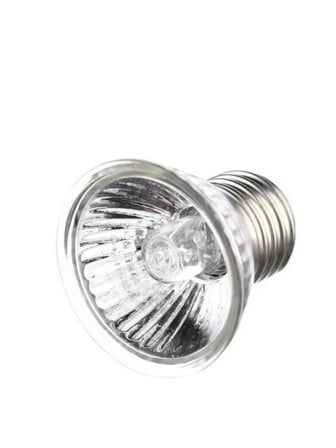Mandallı Akrobat Lamba Tutacağı 25 W Uva/Uvb Lamba Dahil (Siyah)