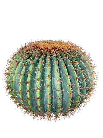 Yapay Çiçek Echinocactus Grusonii Altın Fıçı Kaktüs  60*60cm Cactüs  sk4012