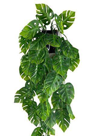 Yapay Çiçek Saksıda Sarkan Monstera Deve Tabanı Yapay Sarmaşık Pastel 60cm