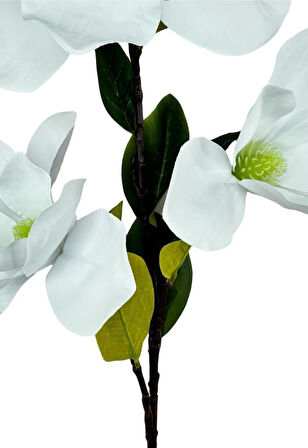 Yapay Çiçek Süt Beyaz Manolya Islak Doku 3 Kafalı Uzun Dal Çiçek Flowers 95cm