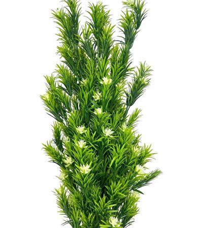 Yapay Çiçek Siyah Saksıda Rosemarystar Yapay Ağaç 55cm