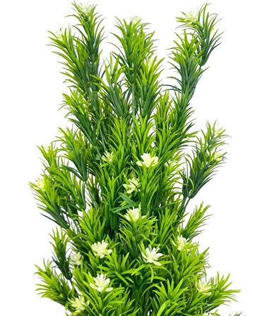 Yapay Çiçek Siyah Saksıda Rosemarystar Yapay Ağaç 55cm