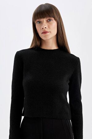 DeFacto Regular Fit Bisiklet Yaka Premium Basic Düz Crop Triko Kazak C9047AX24WNBK27
