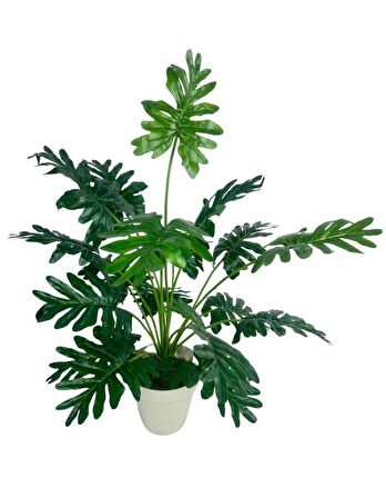 Yapay Ağaç Salon Bitkisi Syngonium 70 cm 18 Yaprak Beyaz Saksıda