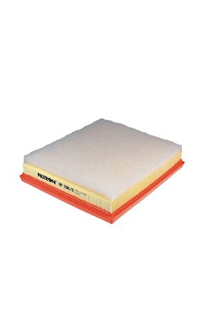 Filtron AP196/8 Hava Filtresi