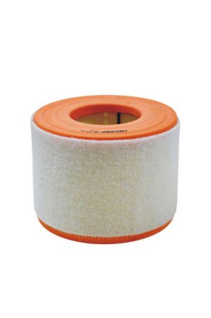 Filtron AR371/6 Hava Filtresi 4G0133843H - 4G0133843K