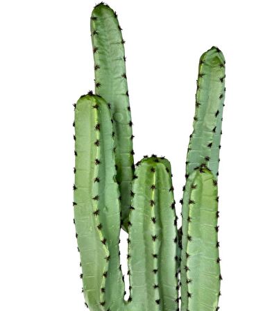 Yapay Çiçek Kaktüs Ağacı 4kollu Siyah Saksıda 70*22cm 4026