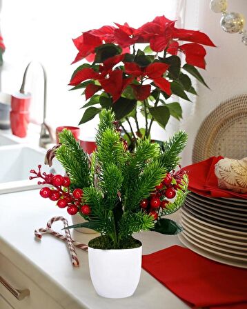 Yapay Çiçek Yılbaşı Çiçeği Kırmızı Kokina Ve Çam Dalı  Beyaz aksıda 30*20cm