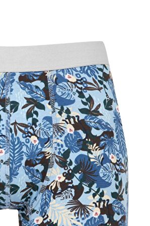 DeFacto Regular Fit Hayvan Baskılı 3'lü Boxer C9537AX24WNNV135