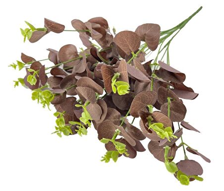 Yapay Çiçek Okaliptus Demet Kahverengi Aradal Garnitür Eucalyptus