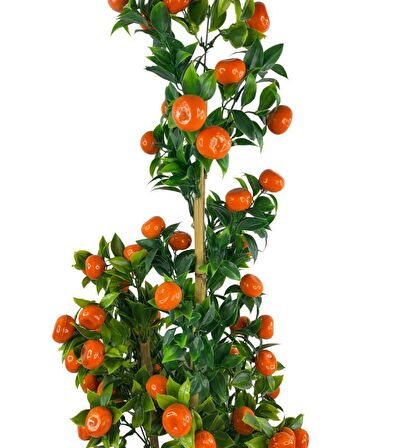 Yapay Ağaç Mandalina Ağacı 80cm 3boy Bambuda Akrilik Siyah Saksılı