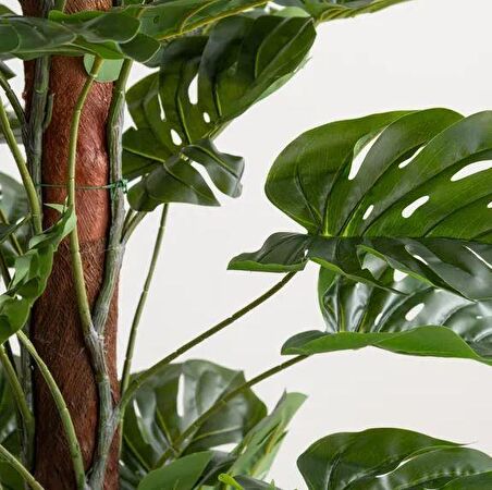 Yapay Çiçek Monstera Salon Sarmaşığı  Tropik Salon Bitkisi Yapay Ağaç 150cm