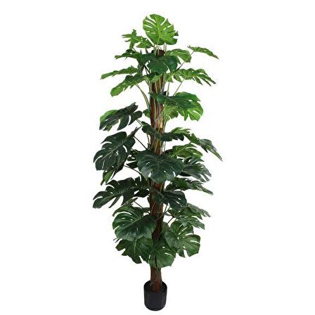 Yapay Çiçek Monstera Salon Sarmaşığı  Tropik Salon Bitkisi Yapay Ağaç 150cm