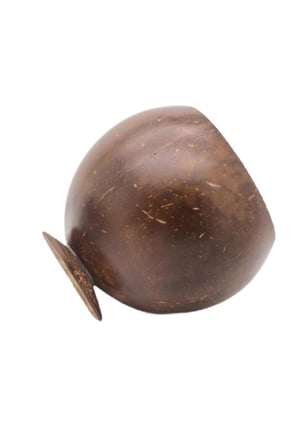 Hindistan Cevizi Kase Büyük Coconut Bowl