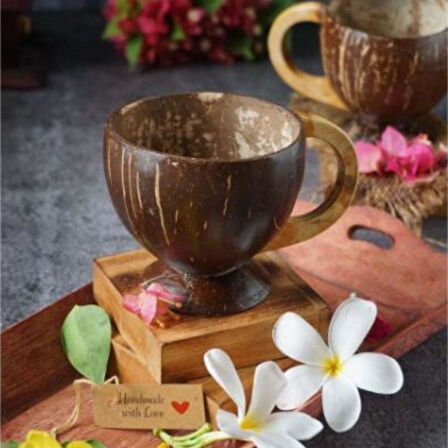 Hindistan Cevizi Coconat Bardak Coconut Glass