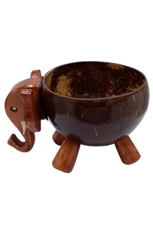 Hindistan Cevizi Coconut Fil Kase Ayaklı Coconat Şekerlik