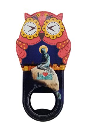 Danimarka Temalı Baykuş Magnet Kapak Açacak