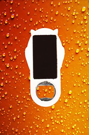 İsveç Temalı Baykuş Magnet Kapak Açacak