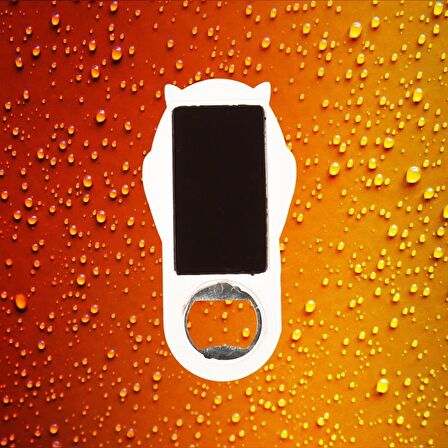 Portekiz Temalı Baykuş Magnet Kapak Açacak