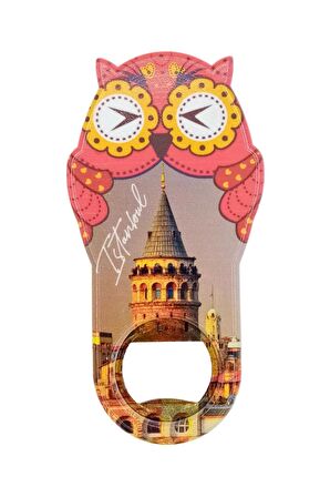 İstanbul Temalı Baykuş Magnet Kapak Açacak