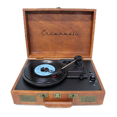 Pikap Virginia Ahşap Elektronik Bluetooth Hoparlör Plakçalar C1330