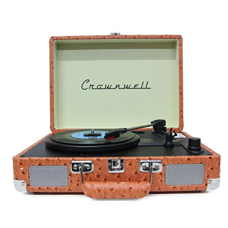 Pikap K/P Ahşap Elektronik Bluetooth Hoparlör Plakçalar C1305