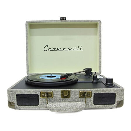 Pikap G/R Ahşap Elektronik Bluetooth Hoparlör Plak Çalar C1304