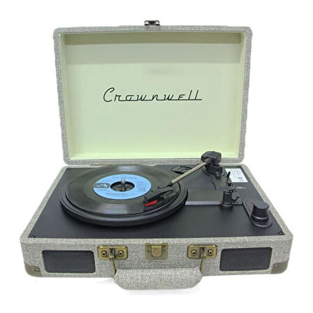 Pikap G/R Ahşap Elektronik Bluetooth Hoparlör Plak Çalar C1304