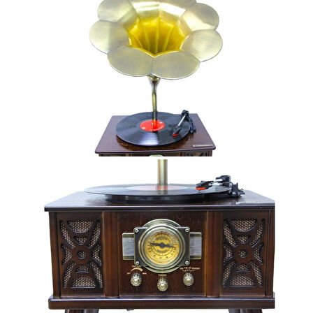 Gramofon Ahşap Standlı Plakçalar Radyo Bluetooth Usb Pikap CW004
