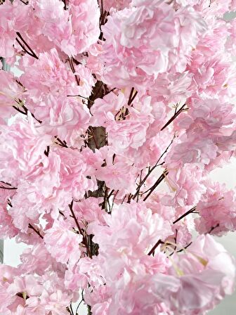 Yapay Ağaç Japon Kiraz Çiçeği Bahardalı Ağacı Sakura Çiçeği Pembe 180cm
