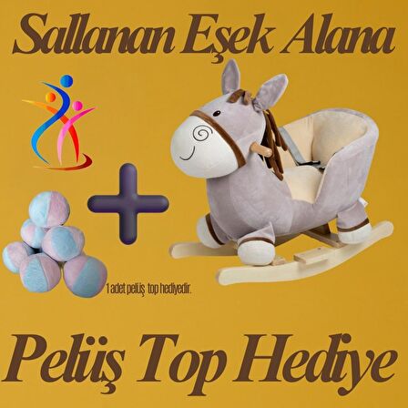 Sallanan Eşek