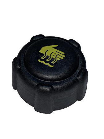 GENLEŞME DEPO KAPAĞI / CLİO - KANGO - MEGANE / 8200048024