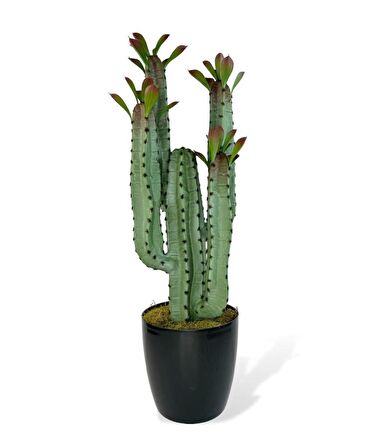 Yapay Çiçek Kaktüs Ağacı 4kollu Kızıl YapraklıSiyah Saksıda 70*22cm 4027