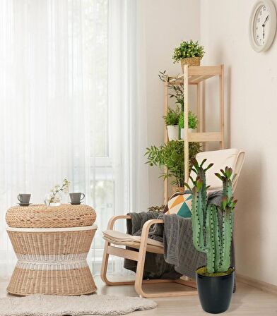 Yapay Çiçek Kaktüs Ağacı 4kollu Kızıl YapraklıSiyah Saksıda 70*22cm 4027