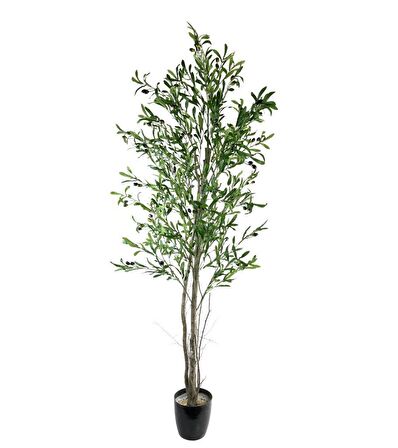 Yapay Zeytin Ağacı 190cm 2 Gövdeli Çalılı Doğal Gerçek Görünümlü Yapay Ağaç