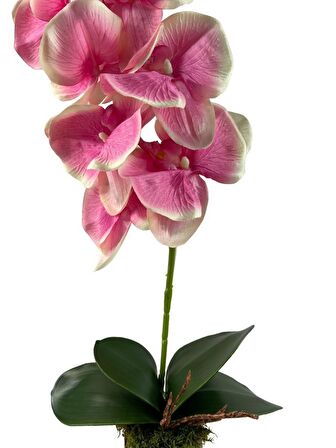 Yapay Çiçek Kütük Saksılı Tekdal Orkide PEMBE 50*30cm