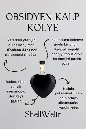 Dora Siyah Doğal Taşlı Kalpli 925 Ayar Gümüş Kadın Kolye | Zarif & Işıltılı Tasarım