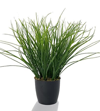 Yapay Çiçek Grass Saz Yapay Bitki Siyah Plastik Saksılı Dekoratif Süs Çiçeği