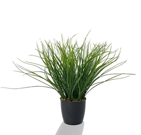 Yapay Çiçek Grass Saz Yapay Bitki Siyah Plastik Saksılı Dekoratif Süs Çiçeği