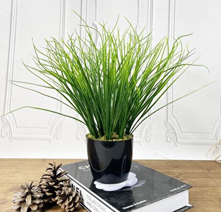 Yapay Çiçek Grass Saz Yapay Bitki Siyah Plastik Saksılı Dekoratif Süs Çiçeği
