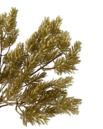 Yapay Çiçek Altın Gold Renk Başak Demeti 7dal 48 Çiçek Demet Garnitür Aradal Dekoratif Yapay Bitki