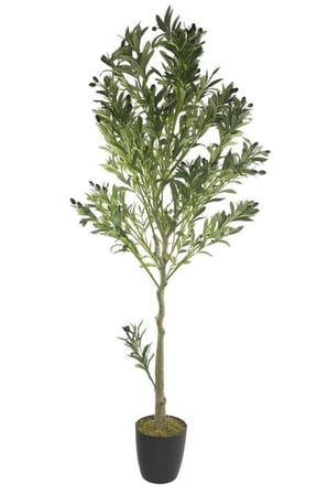 Yapay Zeytin Ağacı Lüks 170cm Doğal Gövdeli Gerçek Görünümlü Yapay Ağaç 1391