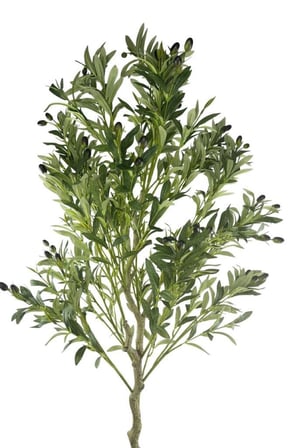Yapay Zeytin Ağacı Lüks 170cm Doğal Gövdeli Gerçek Görünümlü Yapay Ağaç 1391