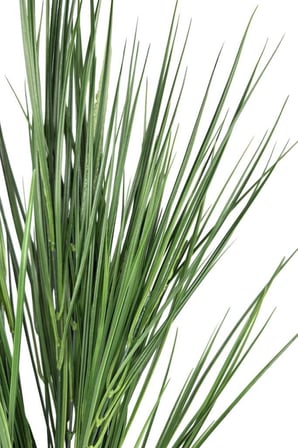Yapay Çiçek Yeşil Grass Saz 80cm Bitki Yapay Çiçek Dekor Çiçeği Uzun Ot