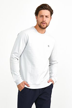 Erkek Basic Günlük Bisiklet Yaka Sweatshirt Gri